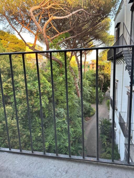 Mediterraneo Apartment 埃尔科拉诺 外观 照片