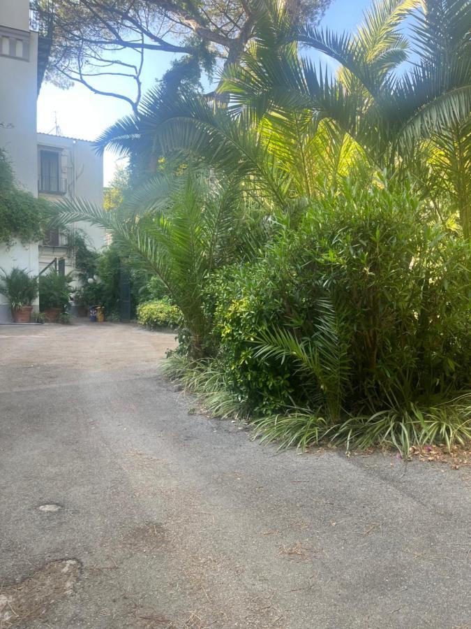 Mediterraneo Apartment 埃尔科拉诺 外观 照片
