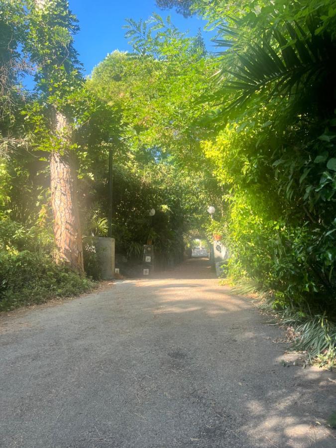 Mediterraneo Apartment 埃尔科拉诺 外观 照片
