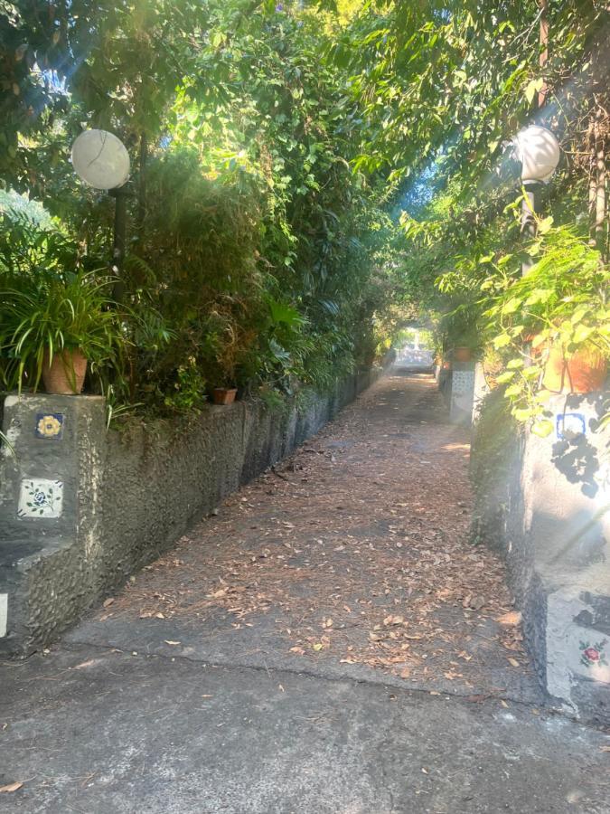Mediterraneo Apartment 埃尔科拉诺 外观 照片